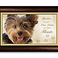 Music for yorkies hotsell