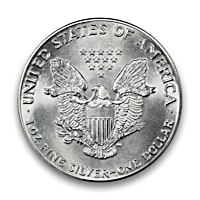 20th Century Silver Eagle Coin Collection Featuring Silver