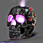 Anne Stokes Essential Oils Collection With Light-Up Diffuser