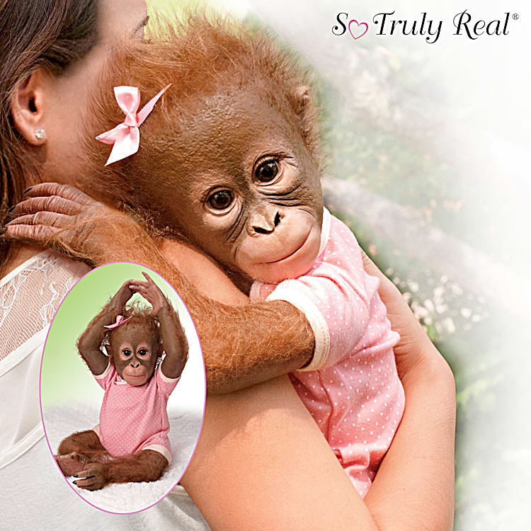 Bradford exchange monkey new arrivals