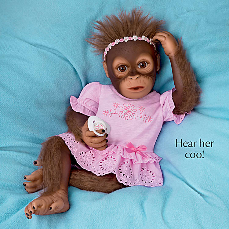 Bradford exchange baby monkey shop