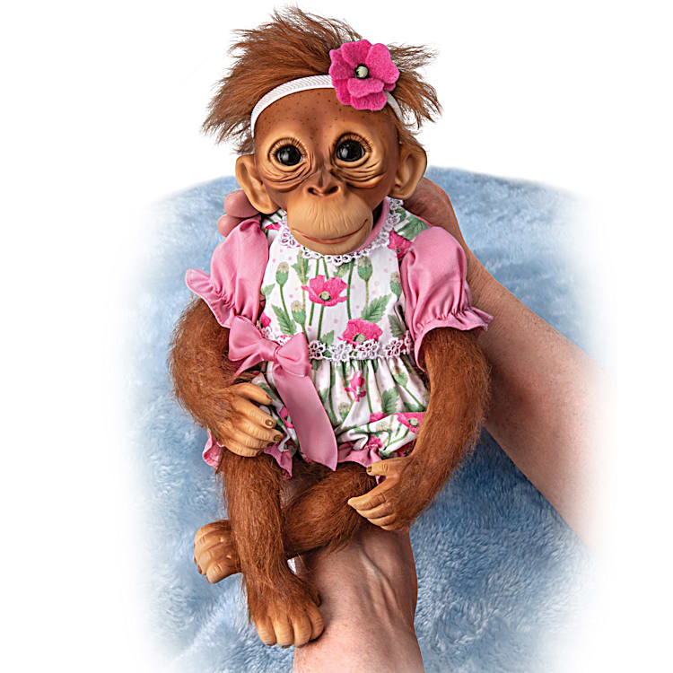Bradford best sale exchange monkey