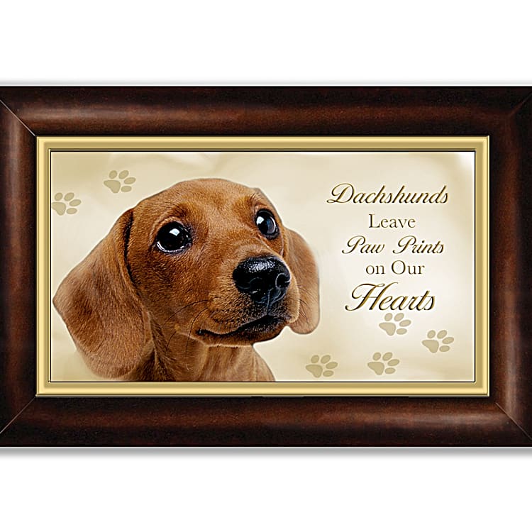 Dachshund box outlet