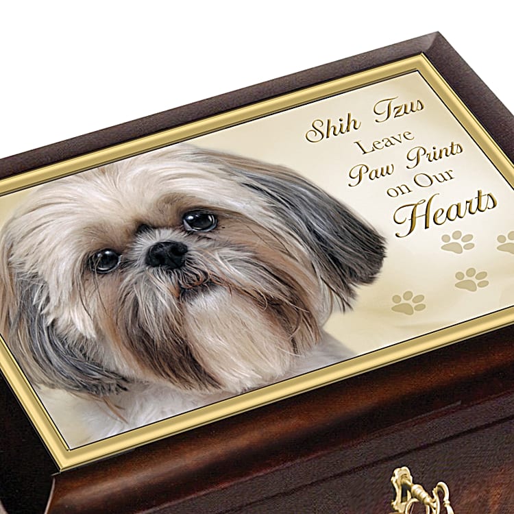 Shih tzu presents sales