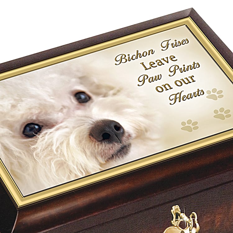 Music hotsell box bichons