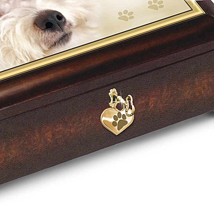 Music hotsell box bichons