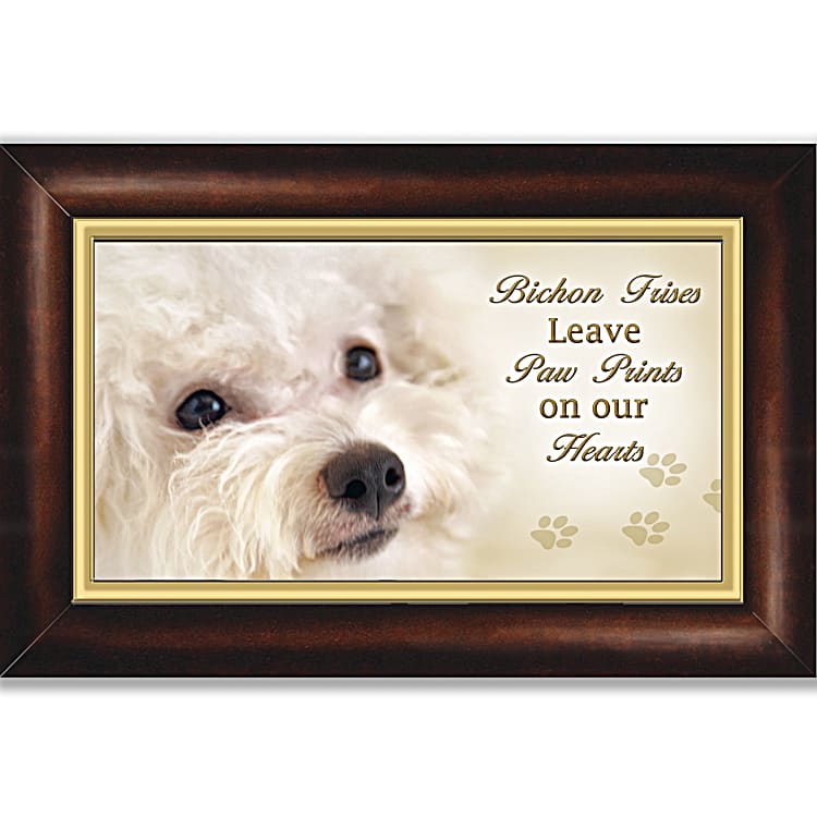 Music box sales bichons