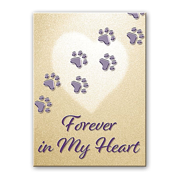 Forever in my heart dog necklace clearance