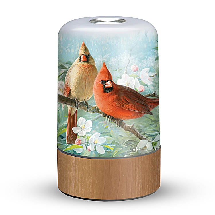 Cardinal accent lamp new arrivals