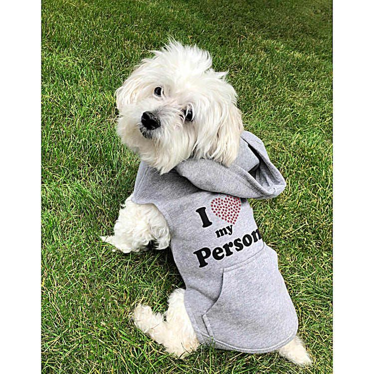 My Best Friend Dog And Womens Heather Gray Jersey Knit Lined Matching Hoodies Both Printed With Loving Messages In Fuzzy Flocked Texture