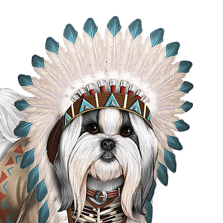 Shih tzu collection sales