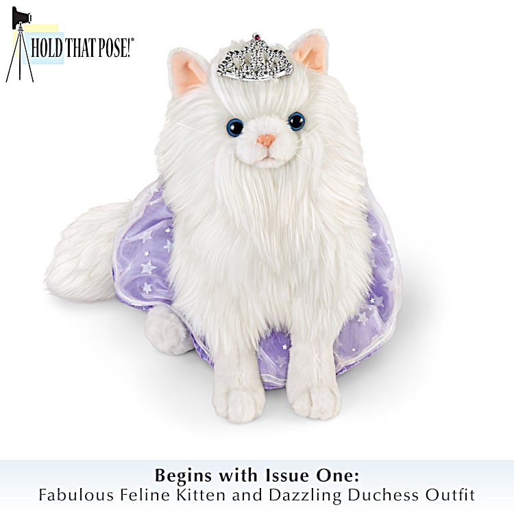 Stuffed kitties sale