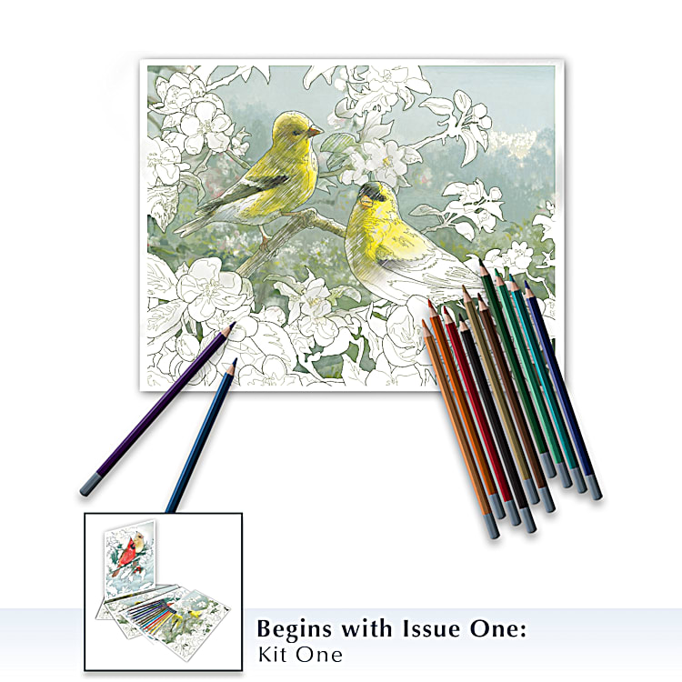 Artistic Escapes Songbird Coloring Kit Collection With 12 Art