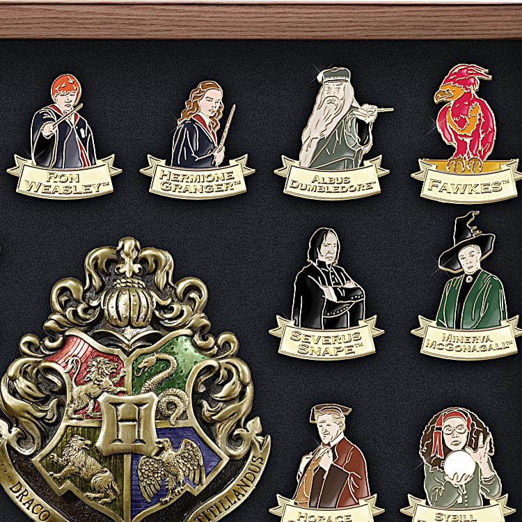 Harry potter pin set shop