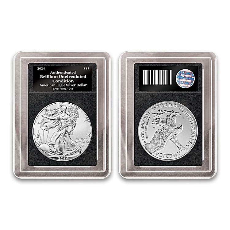 Complete American Eagle Silver Dollar Coin Collection