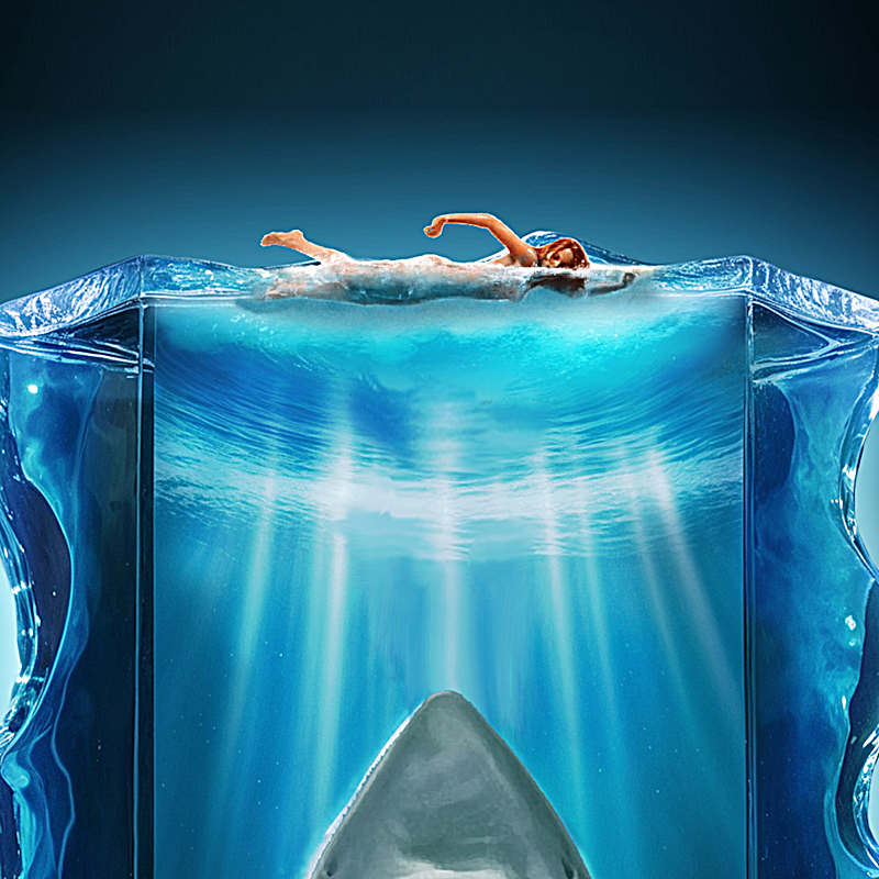 JAWS 50th Anniversary Illuminating Sculpture Collection