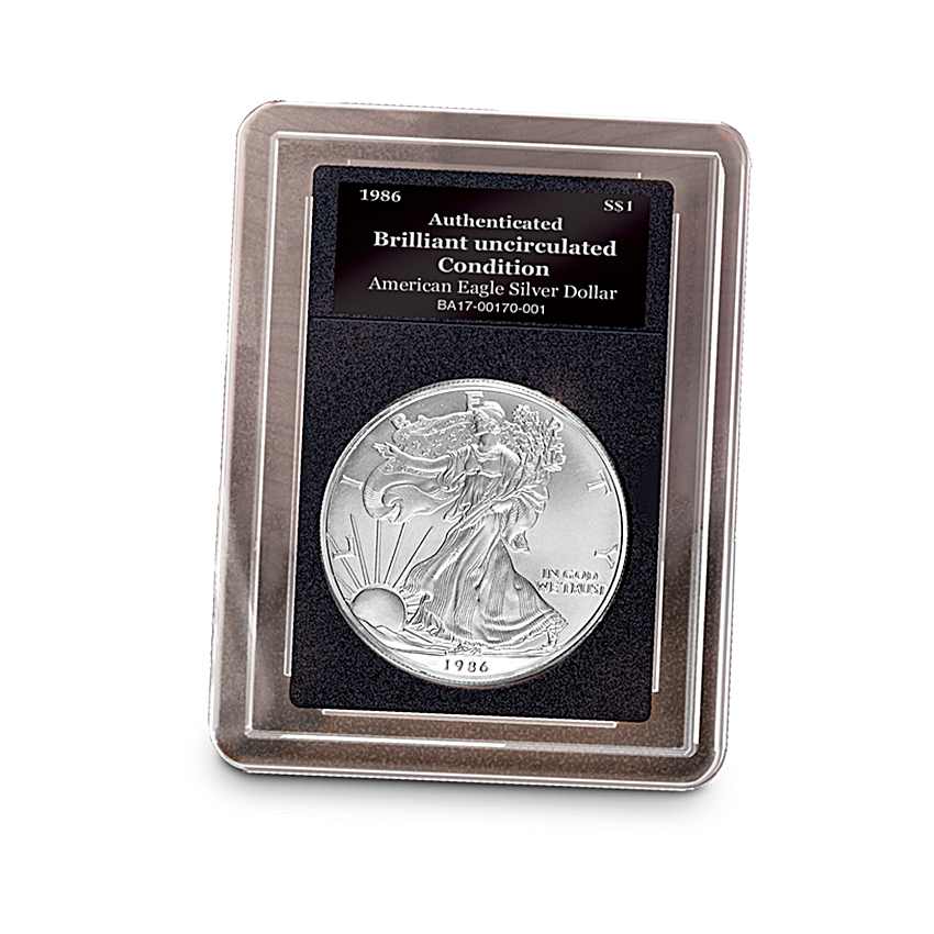 Complete American Eagle Silver Dollar Coin Collection