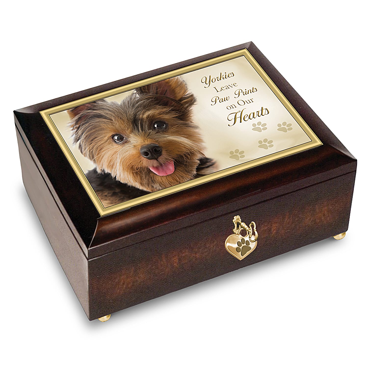 Music clearance for yorkies