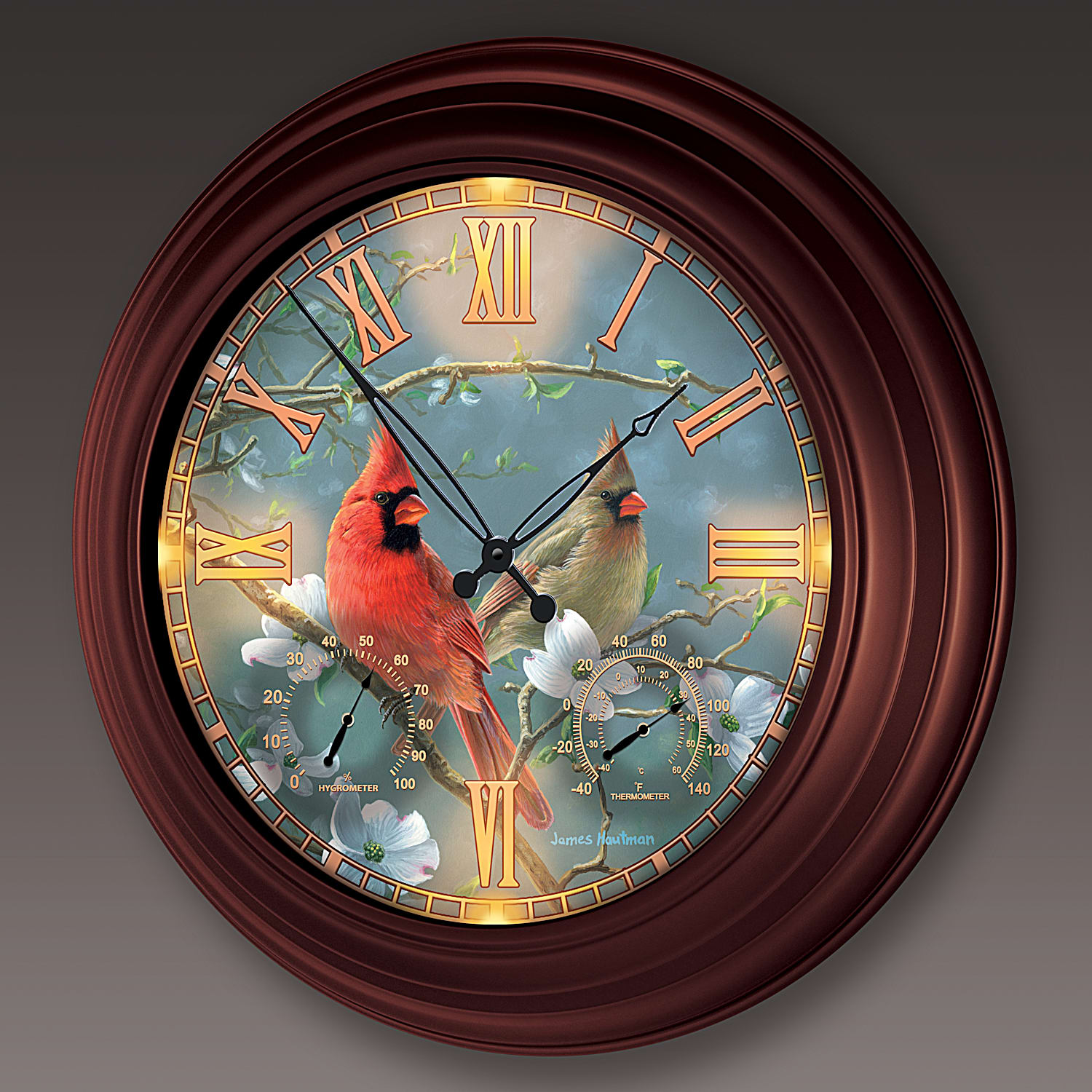  The Bradford Exchange Nature's Masterpiece Cardinal-Themed  Outdoor Illuminated Atomic Wall Clock : Home & Kitchen