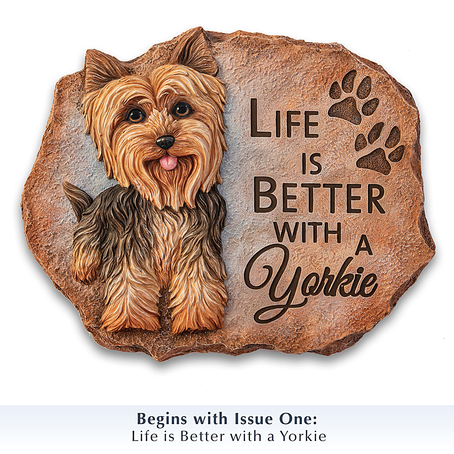 Yorkies In My Area escapeauthority