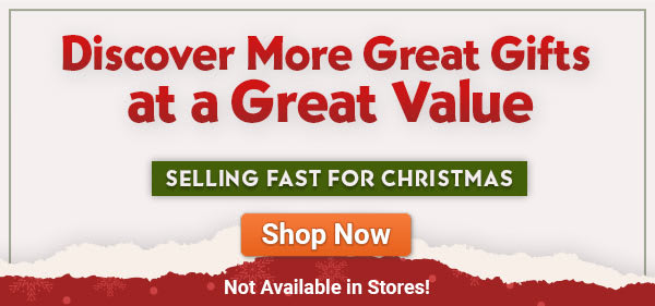 Discover More Great Gifts at a Great Value - SELLING FAST FOR CHRISTMAS - SHOP NOW - Not Available in Stores!