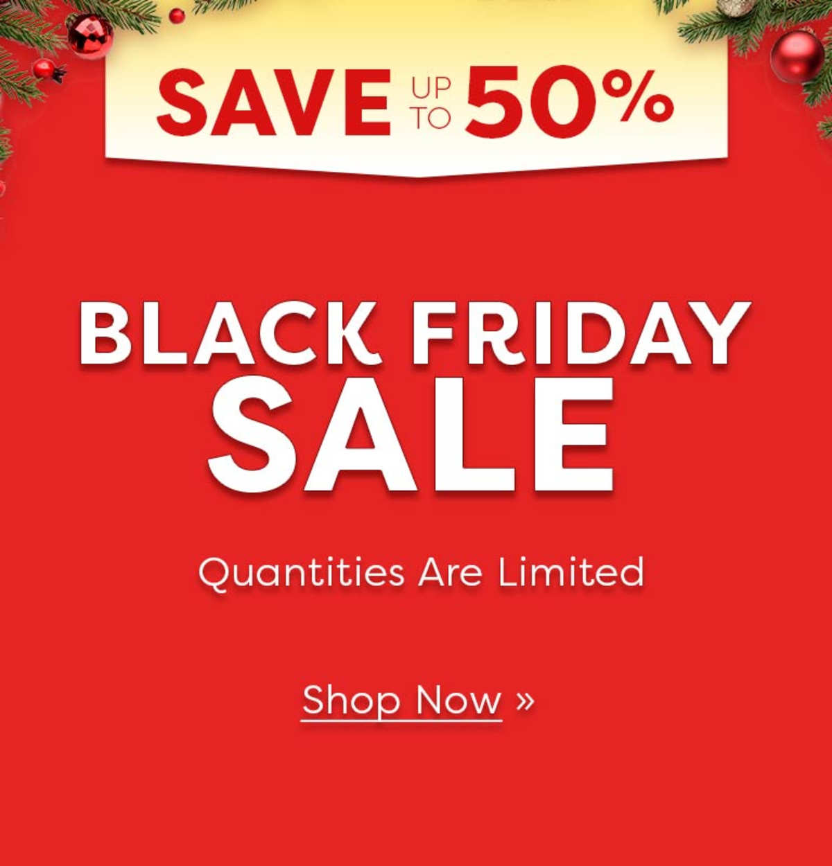 Save Up to 50% - Black Friday Sale - Quantities Are Limited - Shop Now