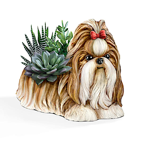 Shih Tzu Planter With Always In Bloom Succulents