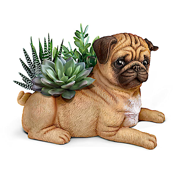 Pug Planter With Always In Bloom Succulents