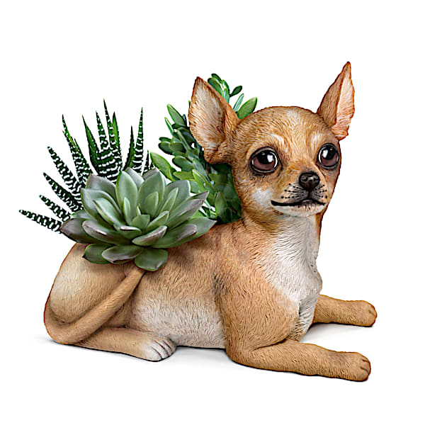 Chihuahua Planter With Always In Bloom Succulents