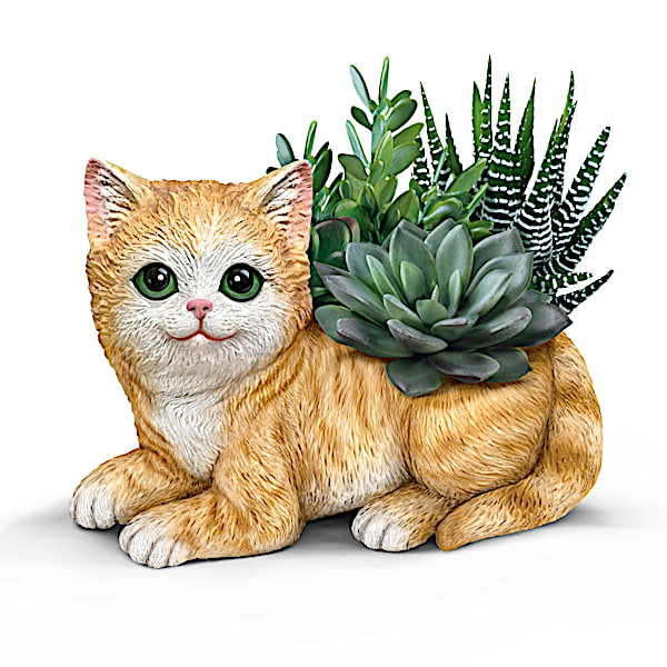 Cat Planter With Always In Bloom Succulents