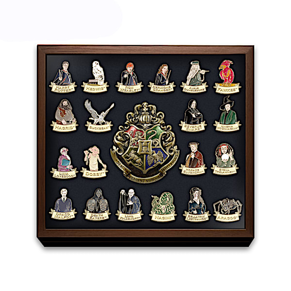 HARRY POTTER Ultimate Pin Collection With Custom Display