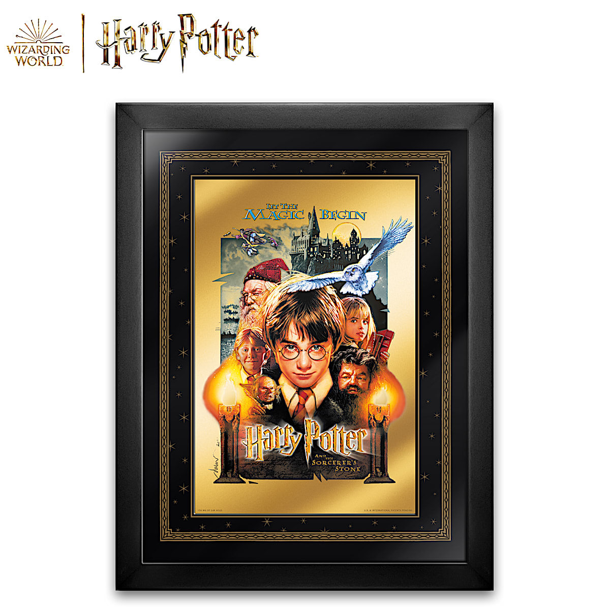 Harry Potter Movie Scene 13 x 19 Action Figure Backdrop Photo Poster 01 -  Gold Record Outlet Album and Disc Collectible Memorabilia
