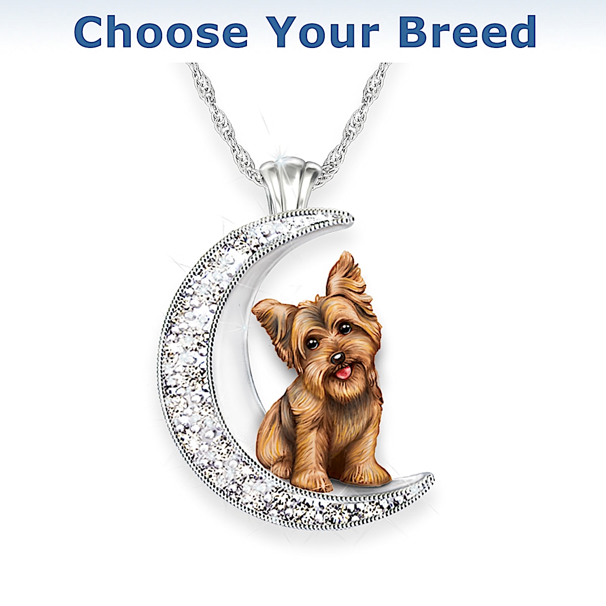 Necklace of my dog 2025