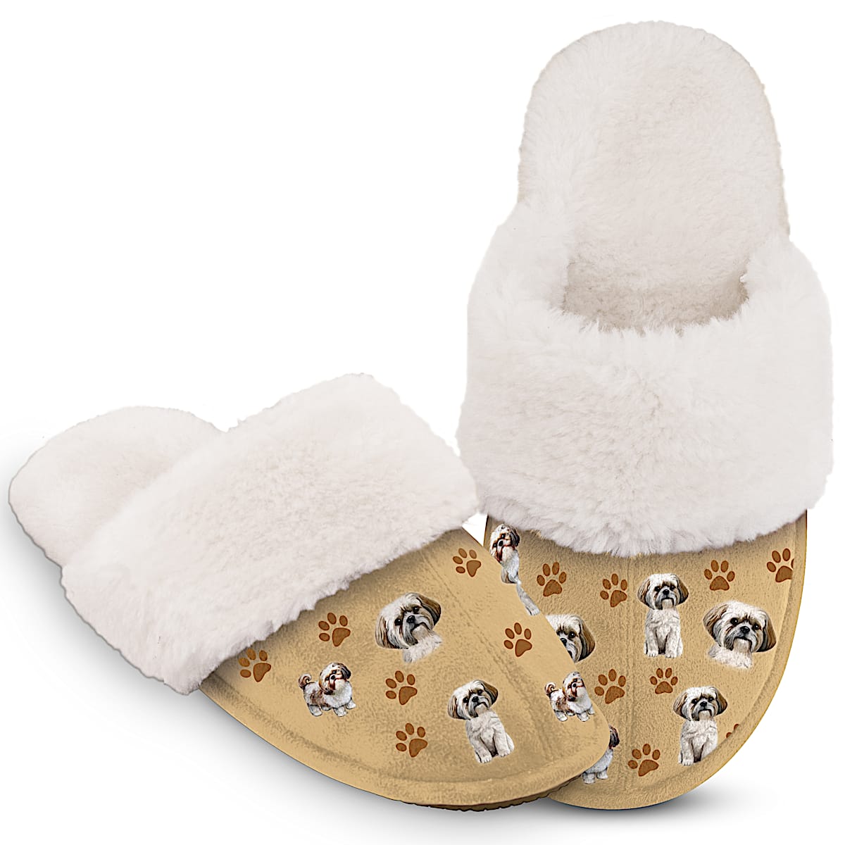 Shih shop tzu slippers