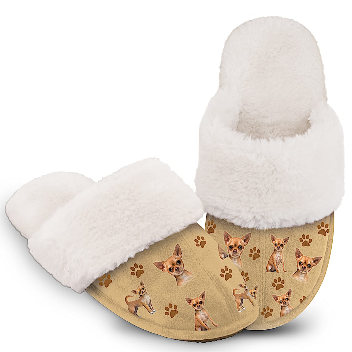 Chihuahua slippers top for adults