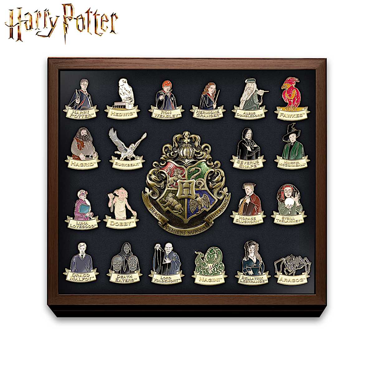 HARRY POTTER Ultimate Hand-Enameled 24K Gold-Plated Pin Collection With A  Glass-Covered Wooden Display