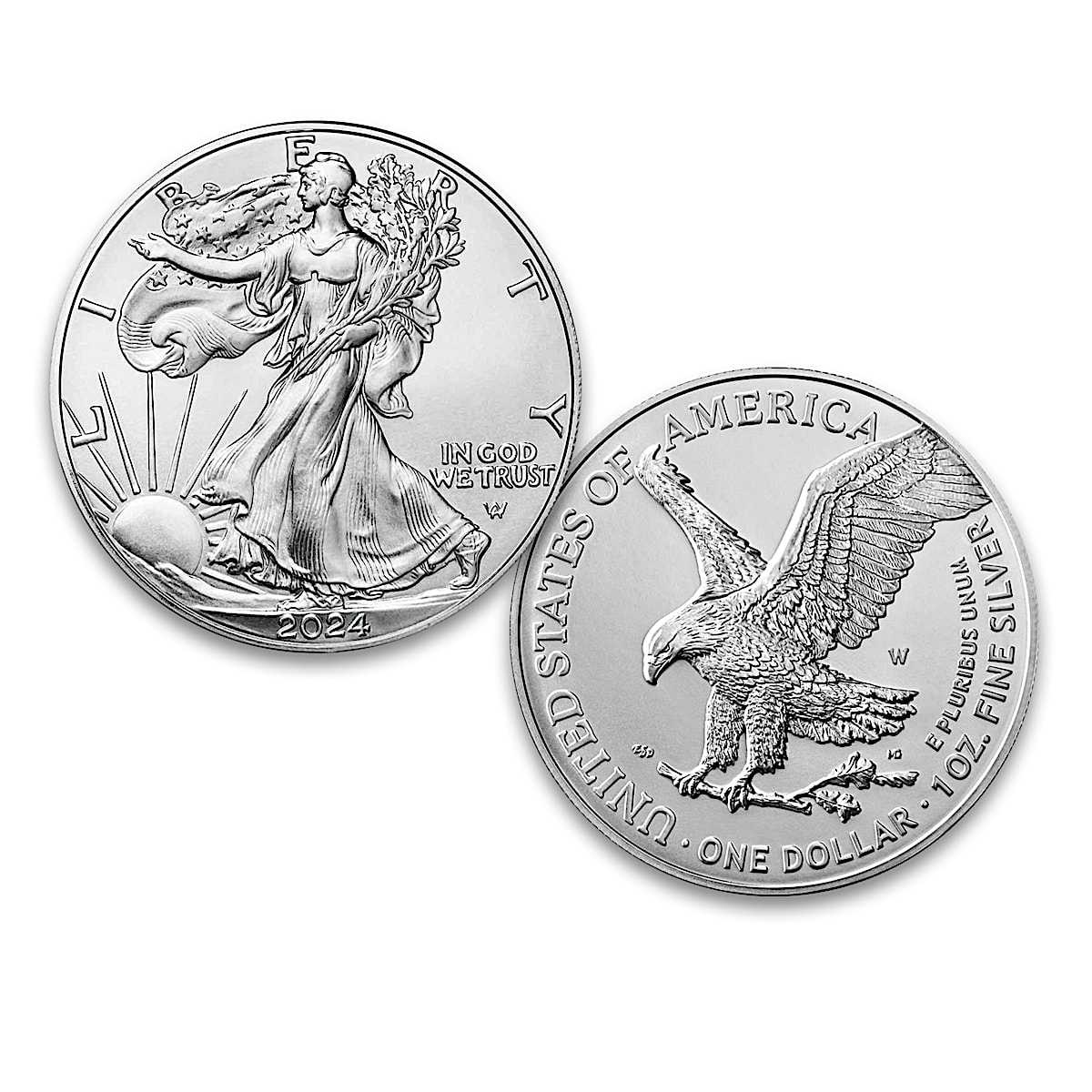 Complete American Eagle Silver Dollar Coin Collection