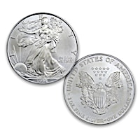 The 1996 Rarest Year Of Issue Silver Eagle Coin