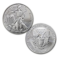 The First Burnished Finish 2006 American Silver Eagle Coin