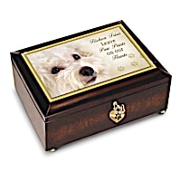 Bichon Frises Leave Paw Prints On Our Hearts Music Box