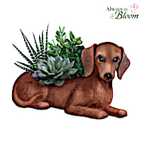 Dachshund Planter With Always In Bloom Succulents