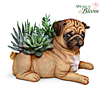Pug Planter With Always In Bloom Succulents