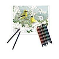 Hautman Brothers Adult Coloring Kit Collection With Pencils