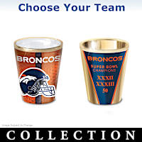 NFL Shot Glass Collection