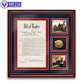 Bill Of Rights USA 250th Anniversary Framed Wall Decor